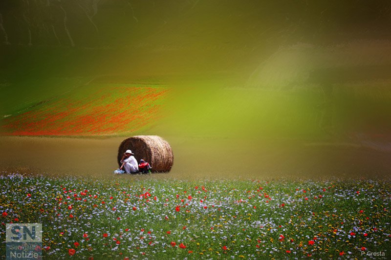 01/05/2018 - Primo Maggio a Castelluccio