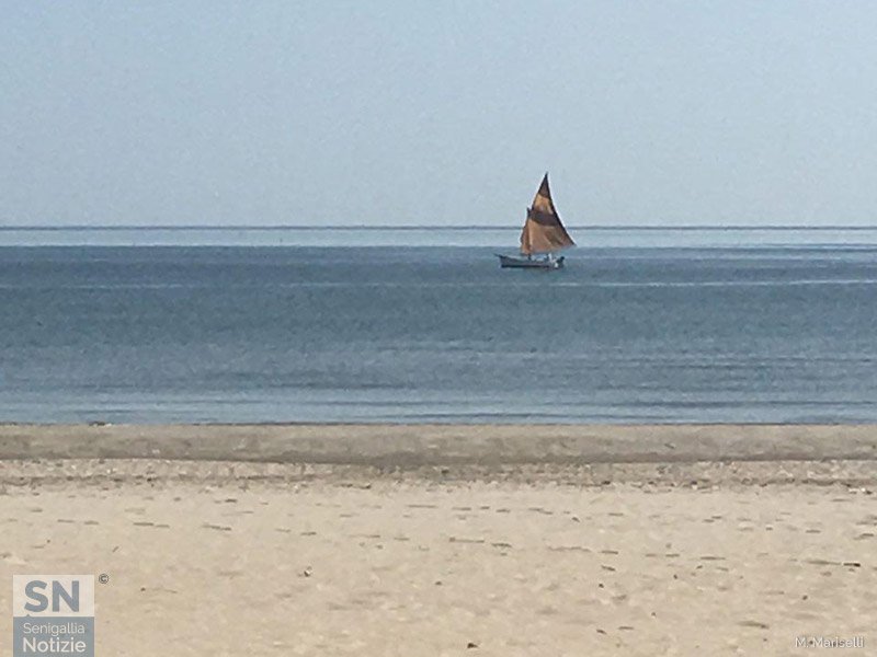 19/05/2018 - Vela storica