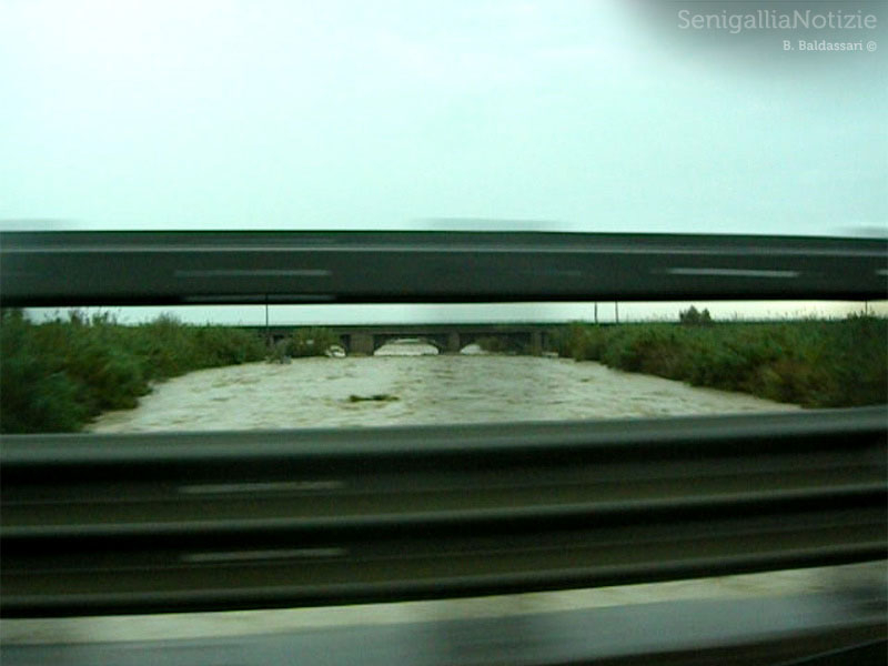 Il fiume Cesano visto dalla Statale 16