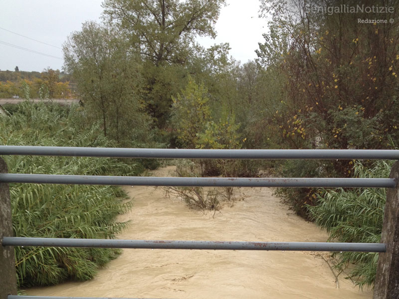 Il Nevola in piena a Passo Ripe, visto da un ponte