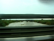 Il fiume Cesano visto dalla Statale 16