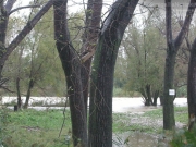 Il fiume Cesano ha tracimato lungo strada della Bruciata
