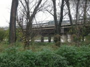 Il fiume Cesano ha tracimato lungo strada della Bruciata