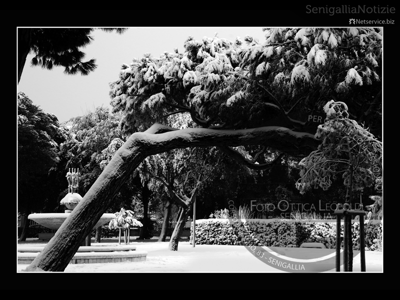 Alberi carichi di neve nei Giardini Morandi - Leopoldi-1934