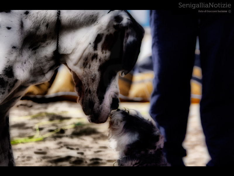 04/03/2012 - Amicizia