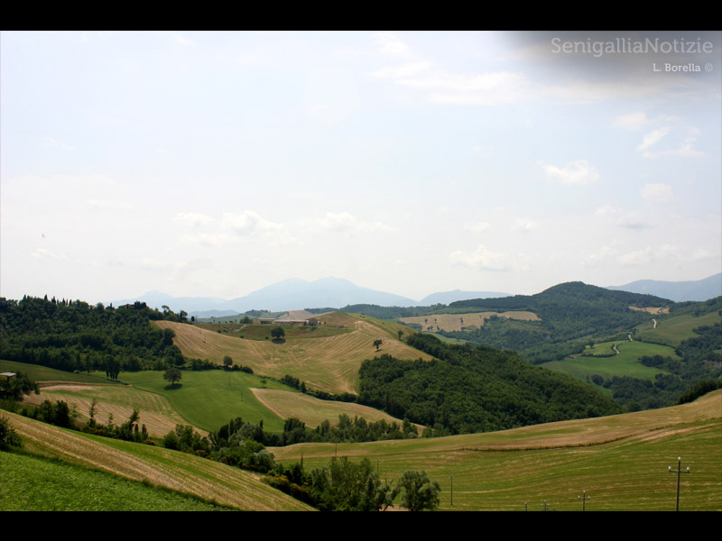 09/03/2012 - La campagna senigalliese