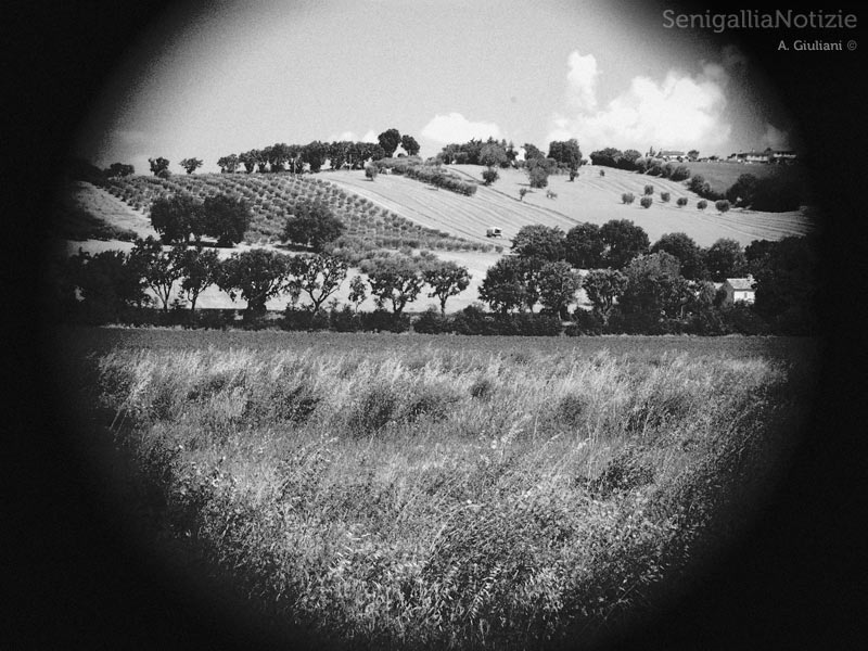 12/03/2012 - Un obbiettivo sulla Valmisa