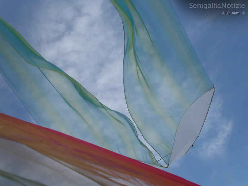 19/03/2012 - Aquiloni nel cielo