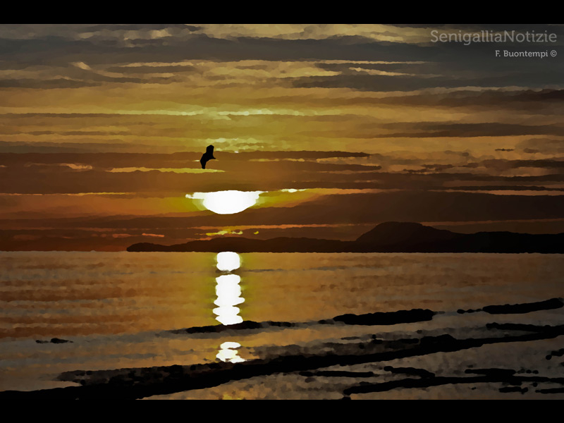 12/03/2013 - Alba... astratta