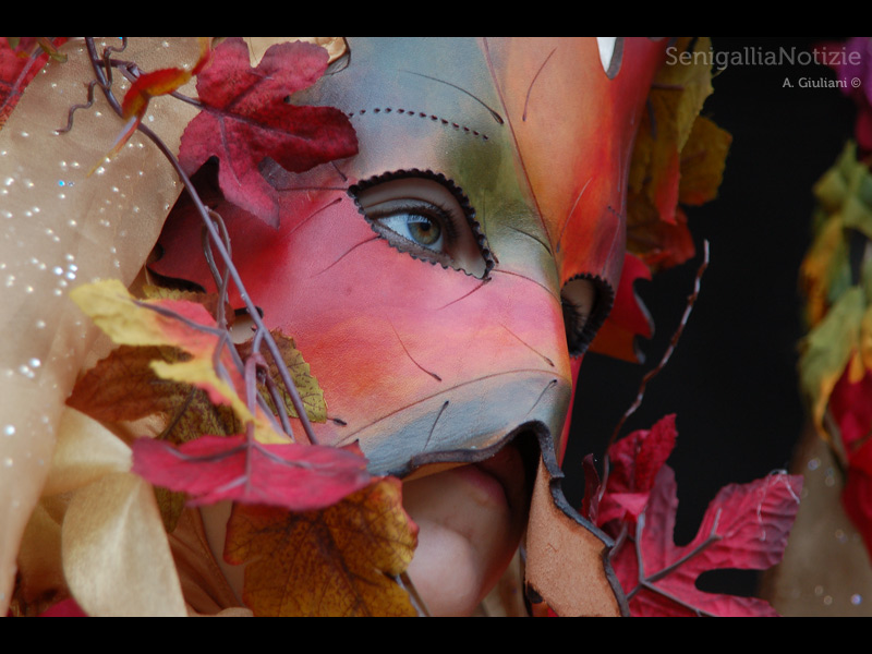 02/03/2014 - Carnevale in maschera