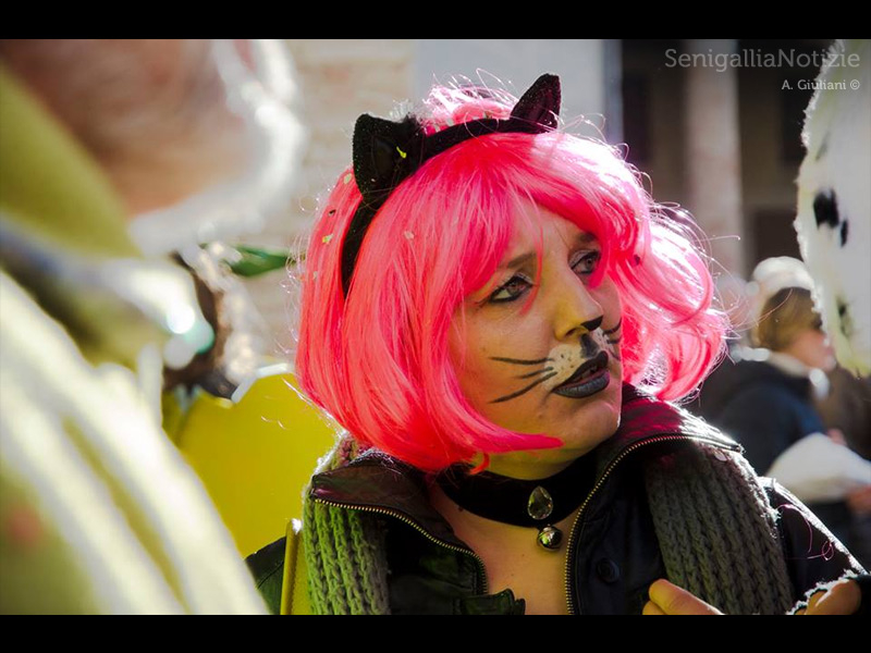 11/03/2014 - La Gatta di Carnevale