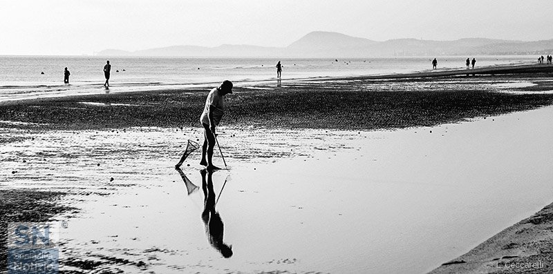 05/03/2016 - Sulla riva, in cerca di...