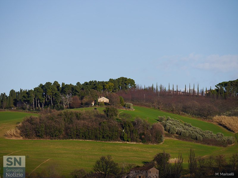 23/03/2016 - In collina