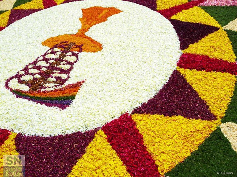 27/03/2016 - Fiorisce la Pasqua