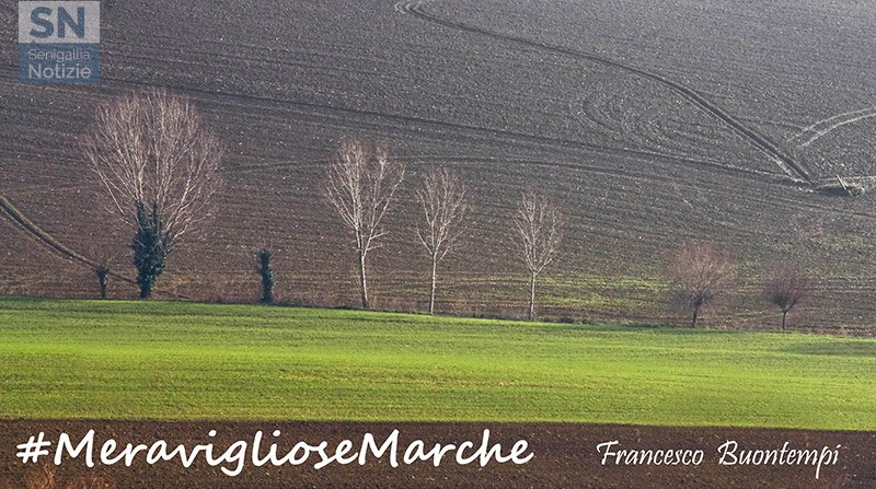 30/03/2016 - #MeraviglioseMarche