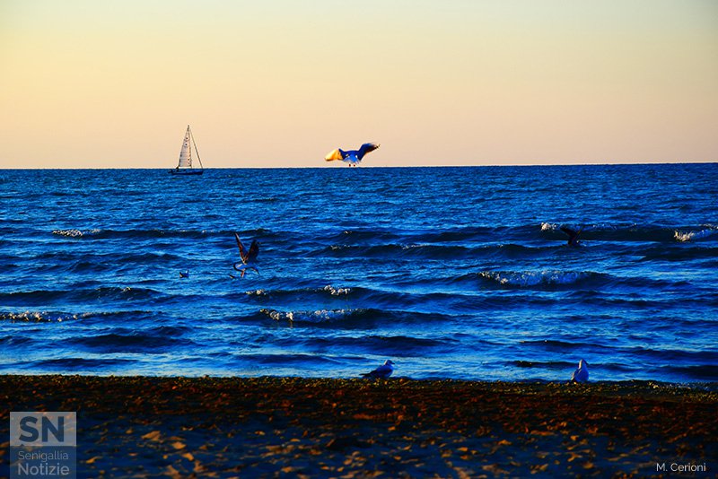 09/03/2017 - Spiccando il volo