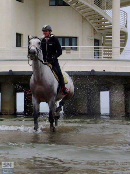 11/03/2017 - A pelo d'acqua
