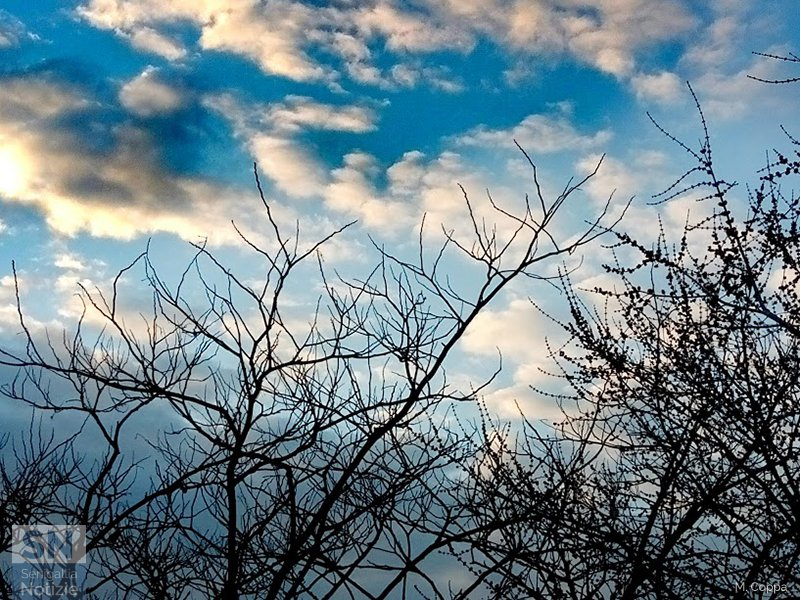 26/03/2017 - Rami e nuvole