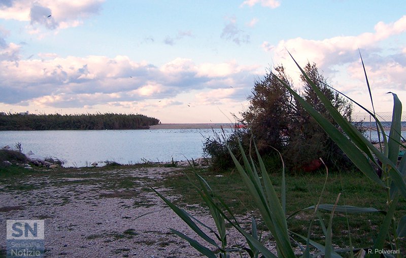 28/03/2017 - Foce del Cesano