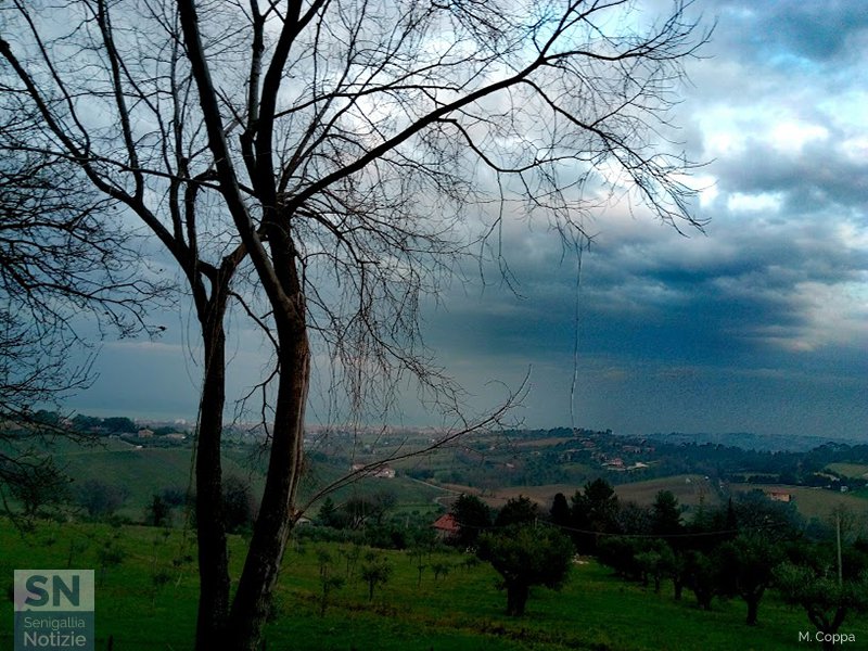 30/03/2017 - In campagna