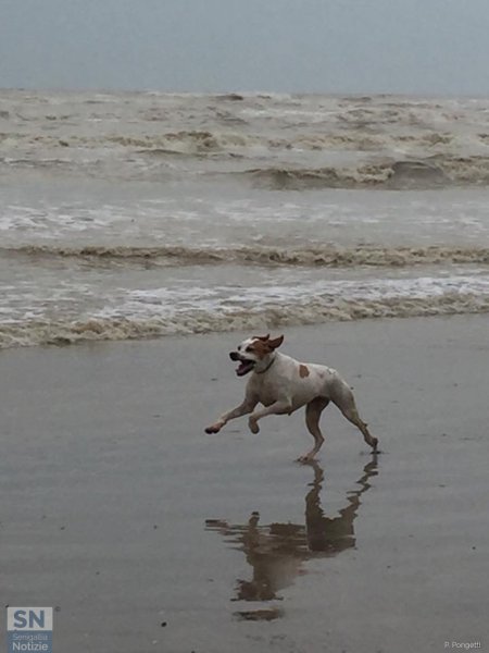 07/03/2018 - Un intruso...