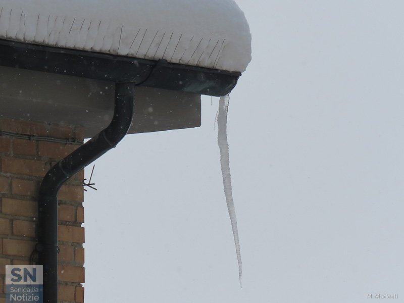 12/03/2018 - Discendenti