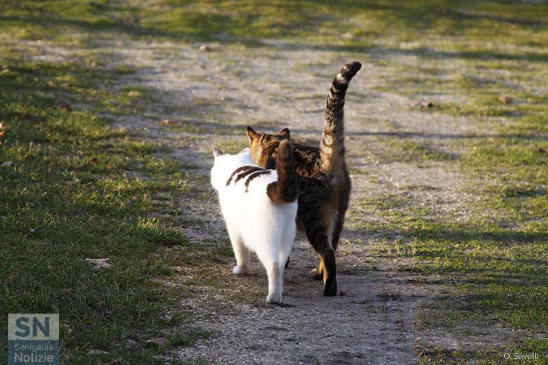 16/03/2018 - Stessa strada