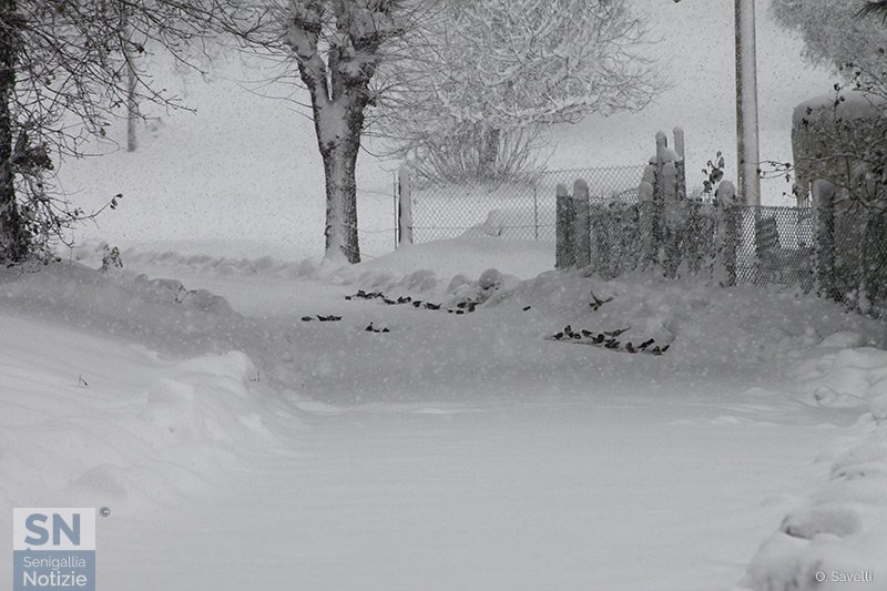 28/03/2018 - Strade praticabili, per alcuni