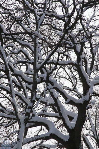 30/03/2018 - Intrecci