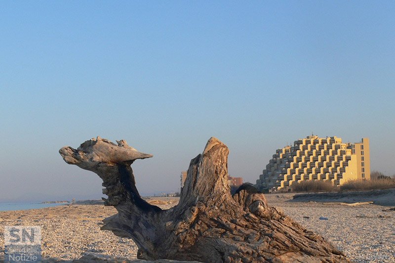 11/03/2019 - Il dromedario e la piramide