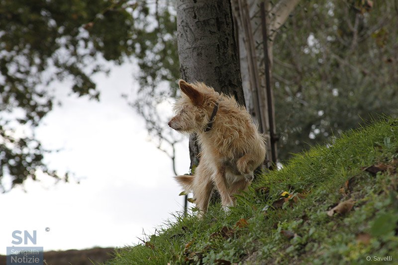 12/03/2019 - Capelli al vento