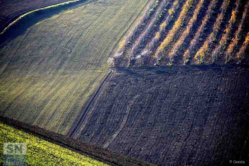 20/03/2019 - Paesaggio marchigiano di campagna