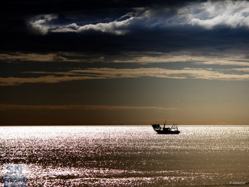 25/03/2019 - Paesaggio marino dorato