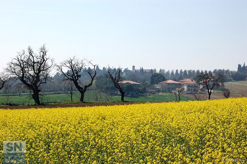 26/03/2019 - Dal Rosciolo verso le Grazie