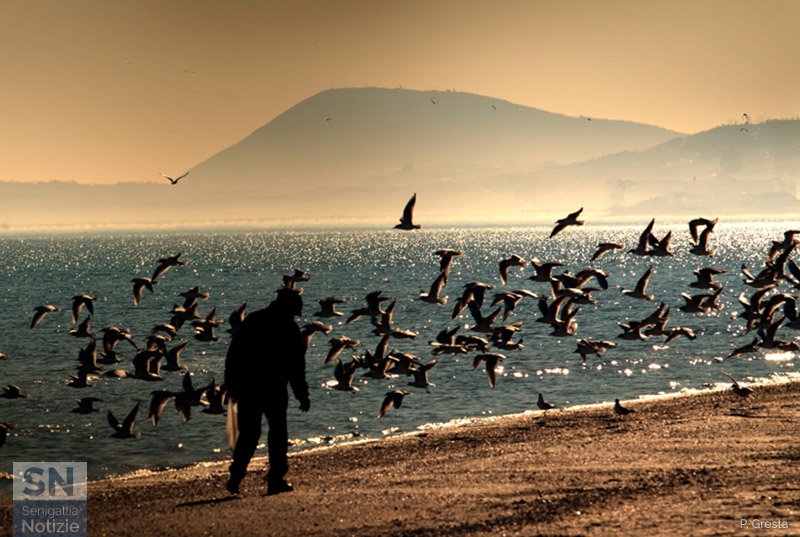 29/03/2019 - Sulla battigia