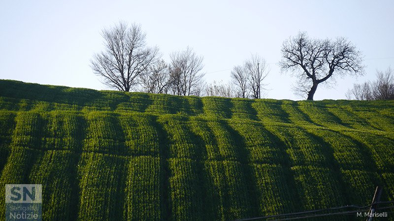 31/03/2019 - Onde verdi