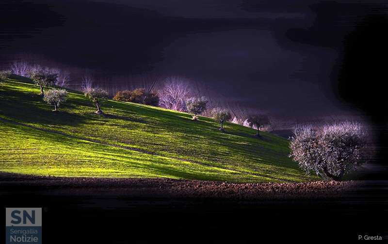 06/03/2020 - Paesaggi marchigiani