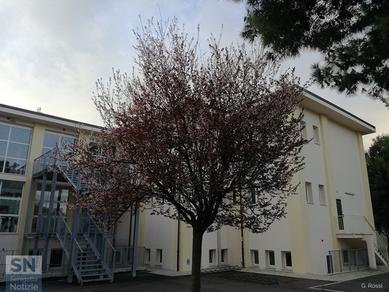 17/03/2020 - Scuola chiusa, ma con sprazzo di positività