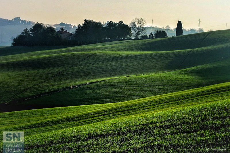 18/03/2020 - Luci ed ombre