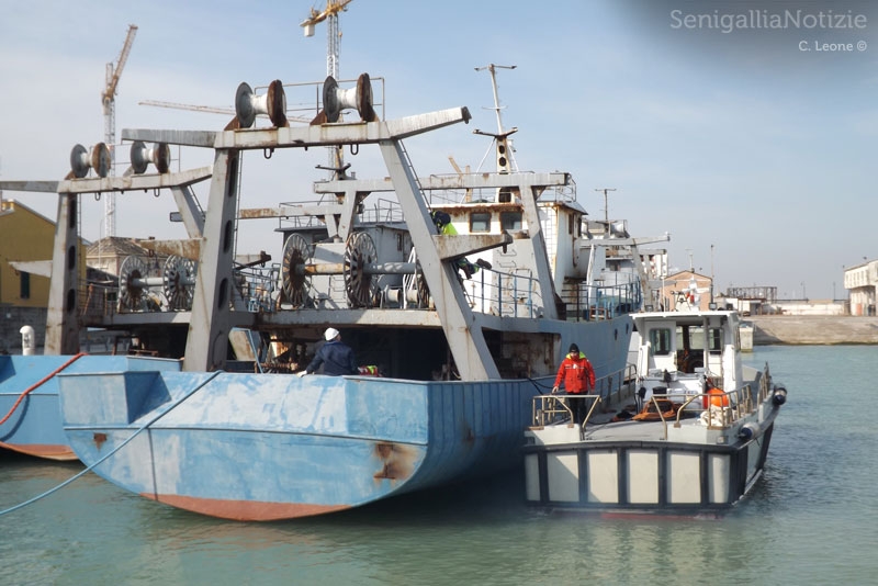 Navalmeccanico, operazioni per sgombero del porto di Senigallia