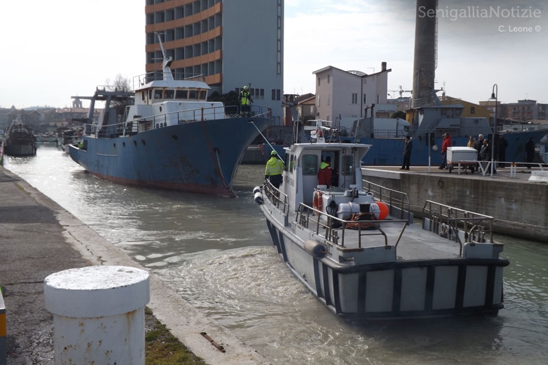 Ormeggiatore usato per lo sgombero delle motonavi