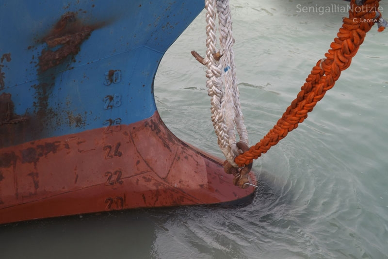 Una delle cinque motonavi sgomberate da Senigallia