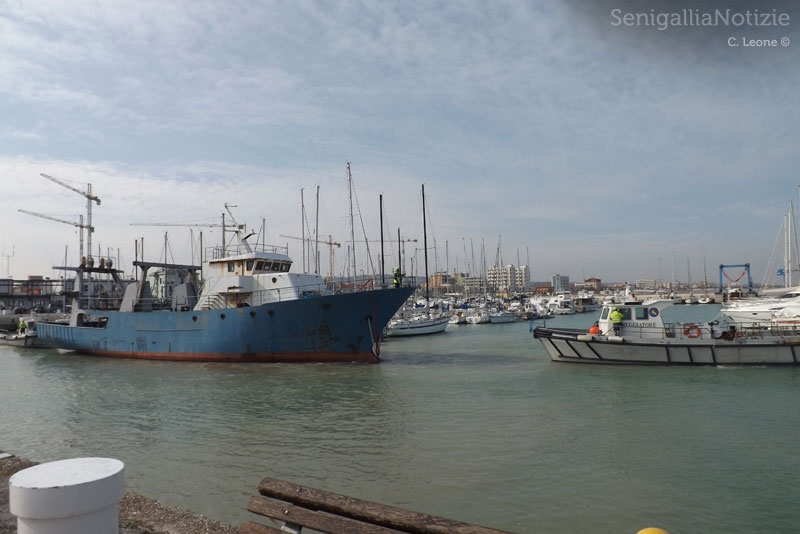 Navalmeccanico, operazioni per sgombero del porto di Senigallia