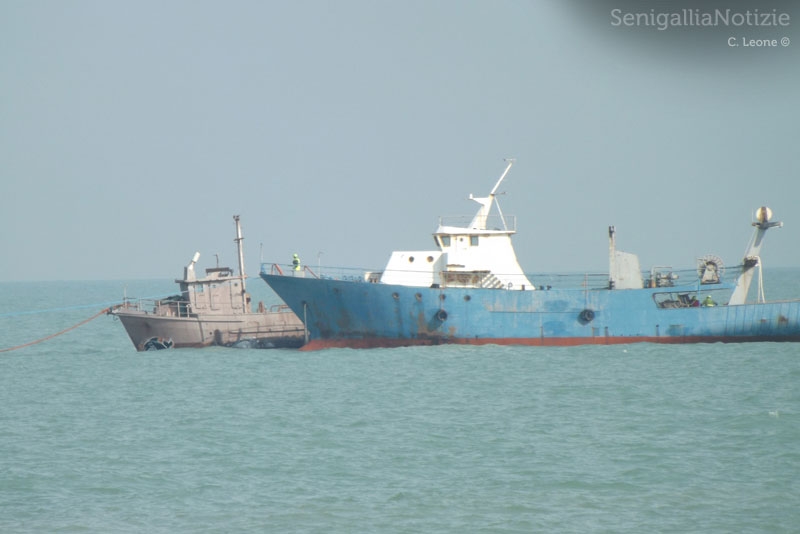 Le motonavi sgomberate dal porto di Senigallia