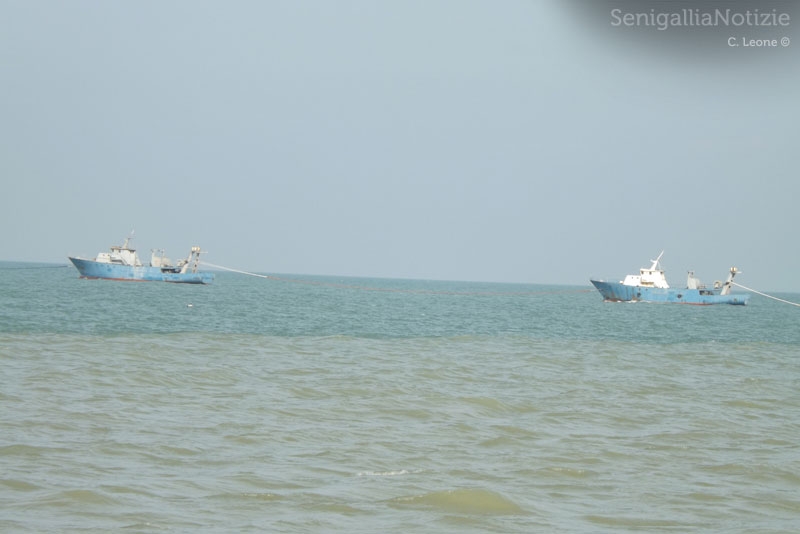 Navalmeccanico, prime navi in partenza da Senigallia