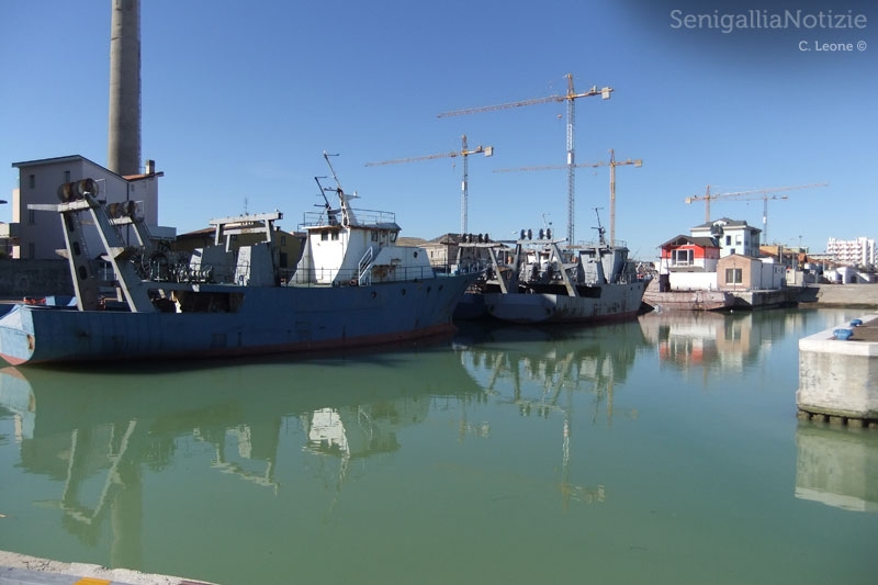 La darsena del porto di Senigallia con le cinque motonavi ex Navalmeccanico
