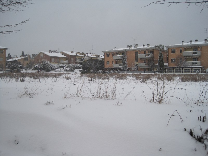 Veduta di Borgo Ribeca a Senigallia