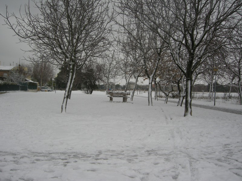 Pista ciclabile tra Cesanella e Vivere Verde