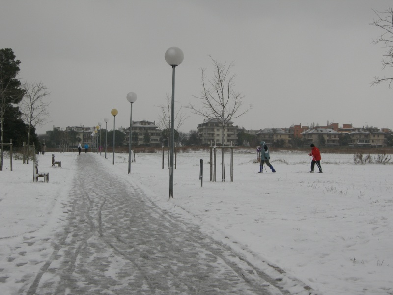 Pista ciclabile tra Cesanella e Vivere Verde