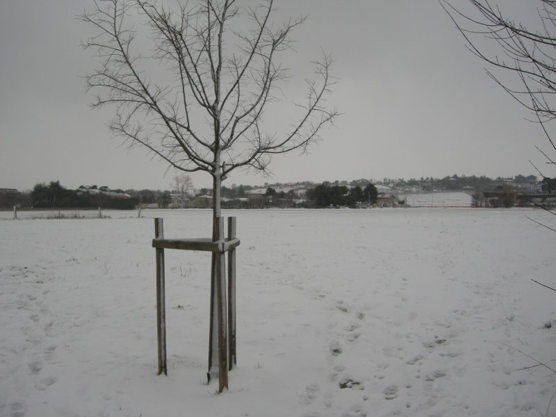Pista ciclabile tra Cesanella e Vivere Verde